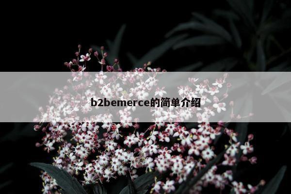 b2bemerce的简单介绍