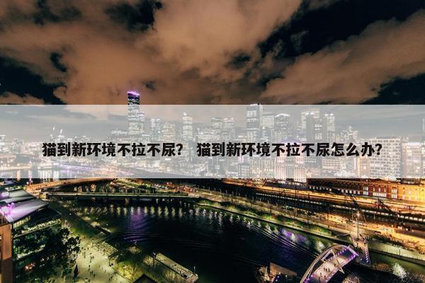 猫到新环境不拉不尿？ 猫到新环境不拉不尿怎么办？