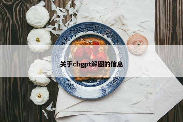 关于chgpt解图的信息