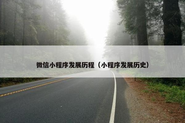 微信小程序发展历程（小程序发展历史）
