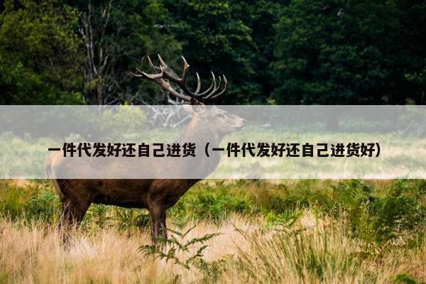 一件代发好还自己进货（一件代发好还自己进货好）