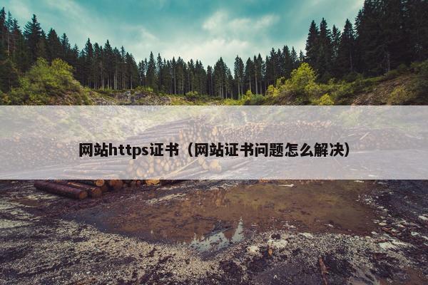 网站https证书（网站证书问题怎么解决）