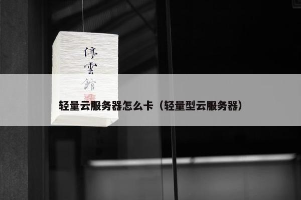 轻量云服务器怎么卡（轻量型云服务器）