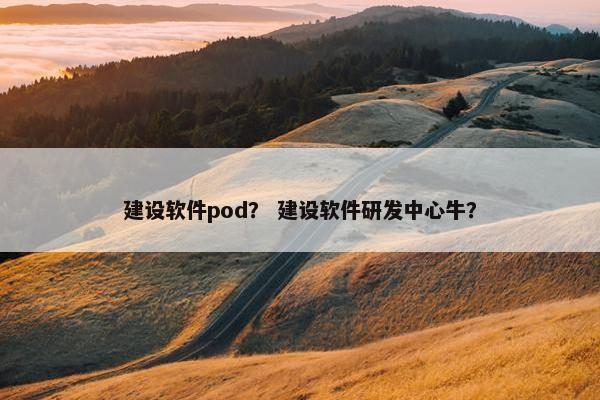 建设软件pod？ 建设软件研发中心牛？