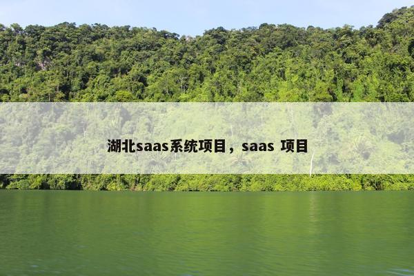 湖北saas系统项目，saas 项目