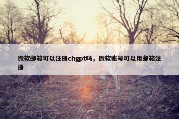微软邮箱可以注册chgpt吗，微软账号可以用邮箱注册