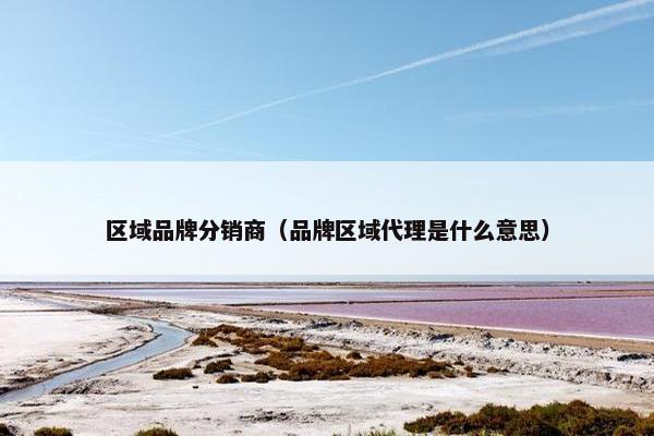 区域品牌分销商（品牌区域代理是什么意思）
