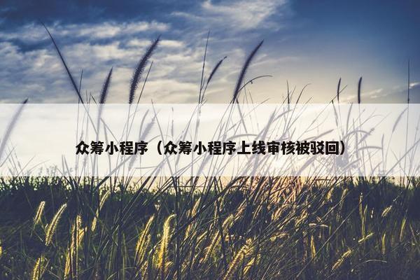 众筹小程序（众筹小程序上线审核被驳回）