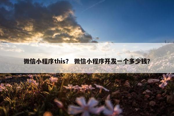 微信小程序this？ 微信小程序开发一个多少钱？
