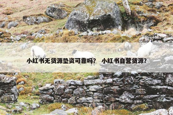 小红书无货源垫资可靠吗？ 小红书自营货源？