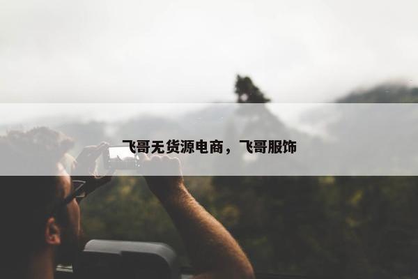 飞哥无货源电商，飞哥服饰