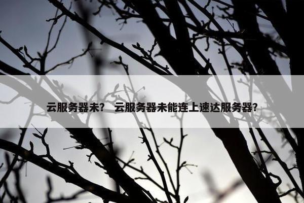 云服务器未？ 云服务器未能连上速达服务器？