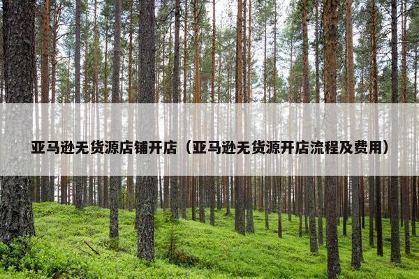 亚马逊无货源店铺开店（亚马逊无货源开店流程及费用）