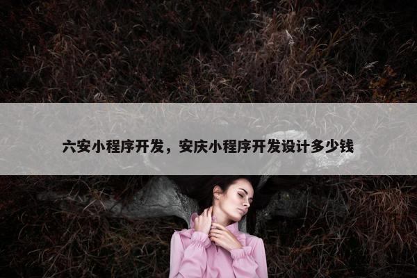 六安小程序开发，安庆小程序开发设计多少钱