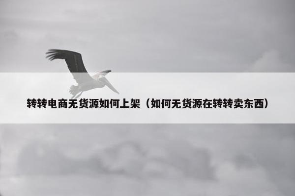 转转电商无货源如何上架（如何无货源在转转卖东西）