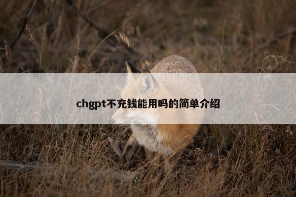 chgpt不充钱能用吗的简单介绍