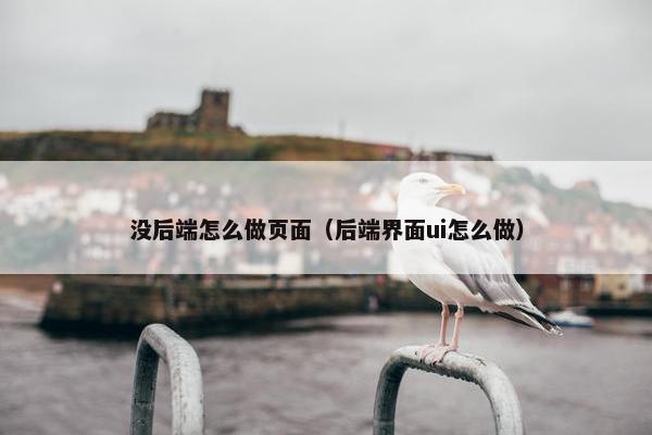没后端怎么做页面（后端界面ui怎么做）