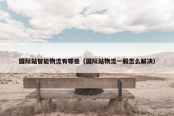 国际站智能物流有哪些（国际站物流一般怎么解决）
