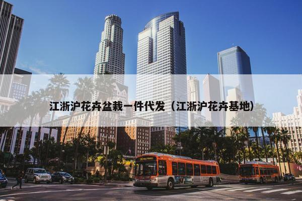江浙沪花卉盆栽一件代发（江浙沪花卉基地）