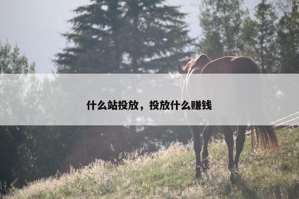 什么站投放，投放什么赚钱