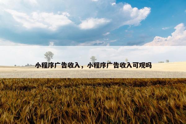 小程序广告收入，小程序广告收入可观吗