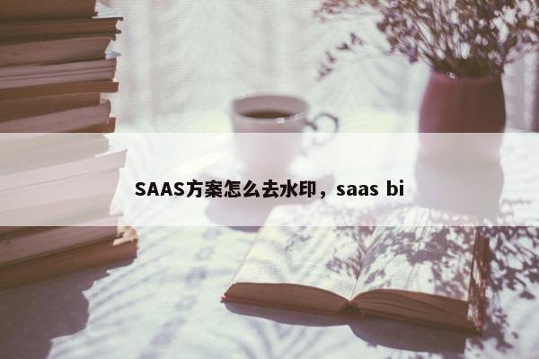 SAAS方案怎么去水印，saas bi