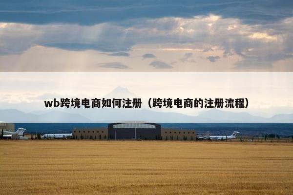 wb跨境电商如何注册（跨境电商的注册流程）
