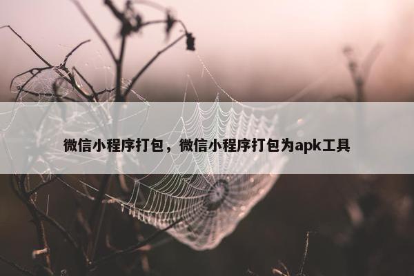 微信小程序打包，微信小程序打包为apk工具