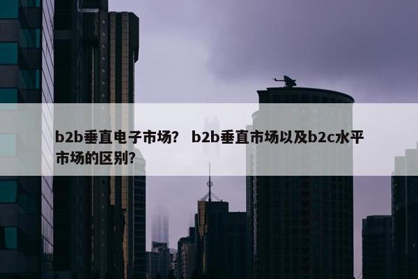 b2b垂直电子市场？ b2b垂直市场以及b2c水平市场的区别？