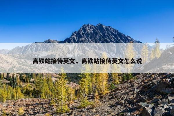 高铁站接待英文，高铁站接待英文怎么说