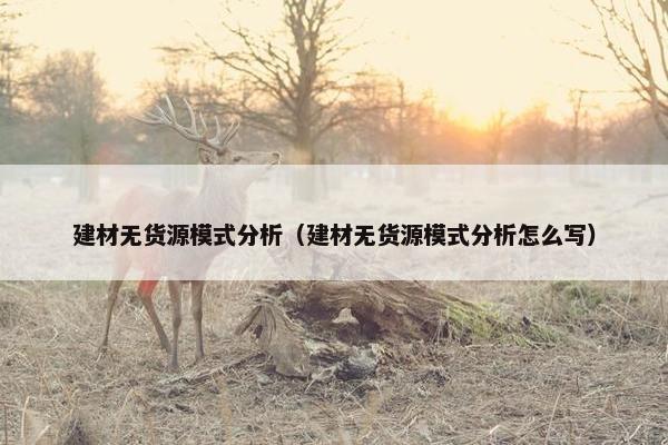 建材无货源模式分析（建材无货源模式分析怎么写）