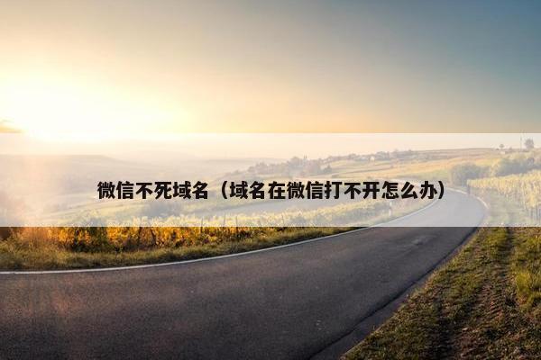 微信不死域名（域名在微信打不开怎么办）