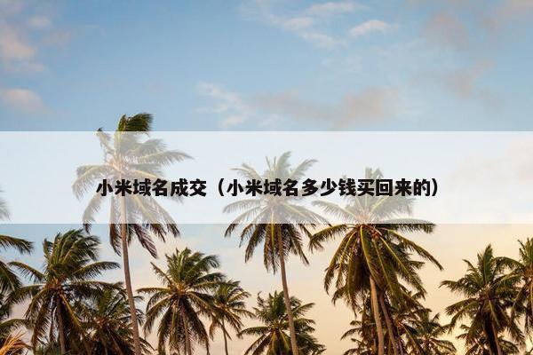 小米域名成交（小米域名多少钱买回来的）