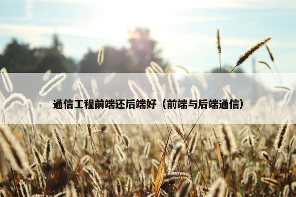 通信工程前端还后端好（前端与后端通信）