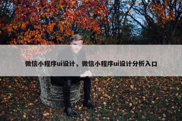 微信小程序ui设计，微信小程序ui设计分析入口