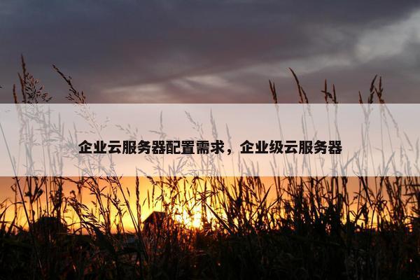 企业云服务器配置需求，企业级云服务器