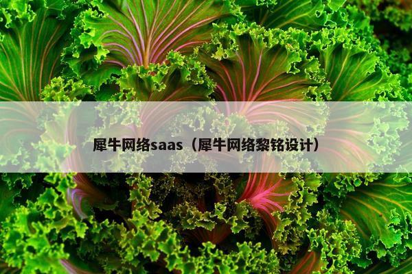 犀牛网络saas（犀牛网络黎铭设计）