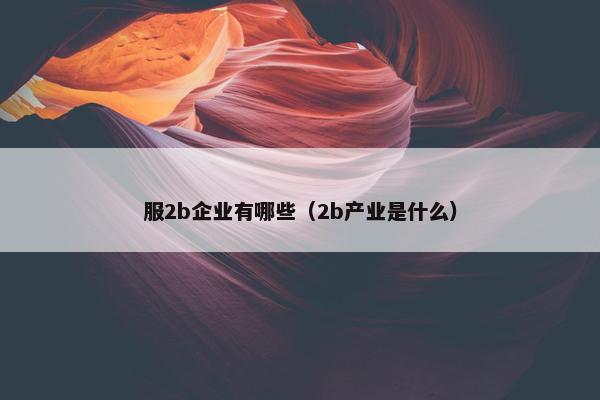 服2b企业有哪些（2b产业是什么）