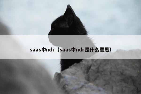 saas中ndr（saas中ndr是什么意思）