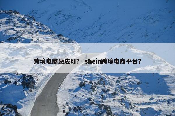 跨境电商感应灯？ shein跨境电商平台？