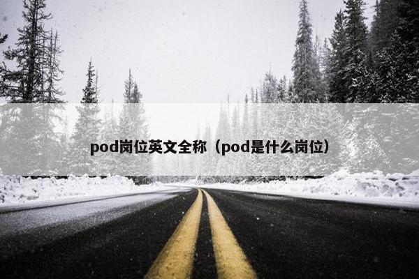 pod岗位英文全称（pod是什么岗位）