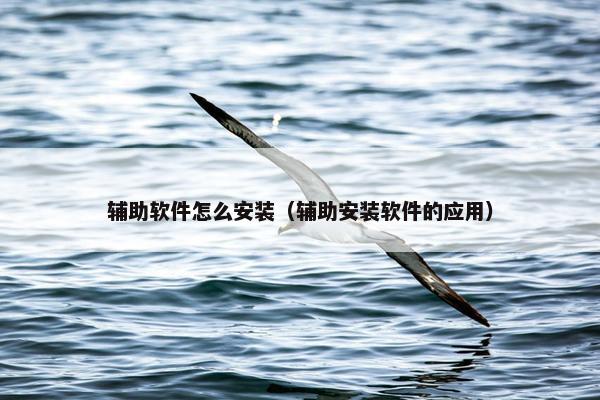 辅助软件怎么安装（辅助安装软件的应用）