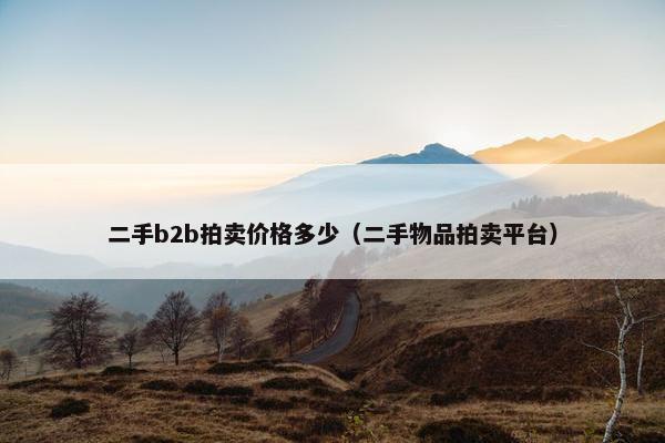 二手b2b拍卖价格多少（二手物品拍卖平台）