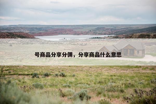 号商品分享分佣，分享商品什么意思