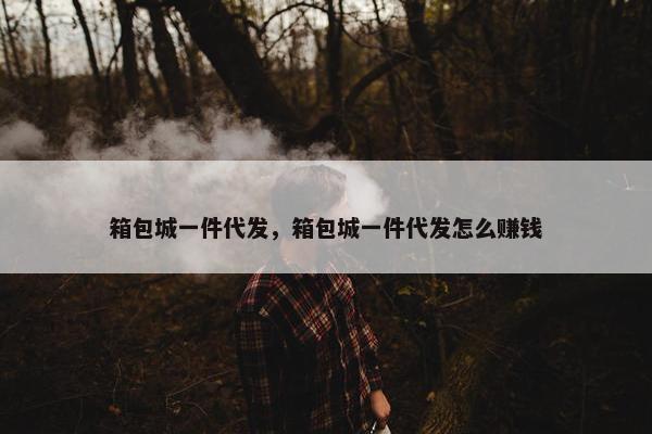 箱包城一件代发，箱包城一件代发怎么赚钱