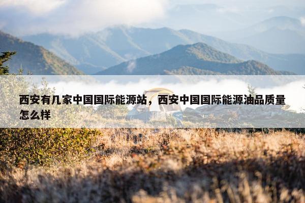 西安有几家中国国际能源站，西安中国国际能源油品质量怎么样