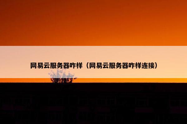 网易云服务器咋样（网易云服务器咋样连接）