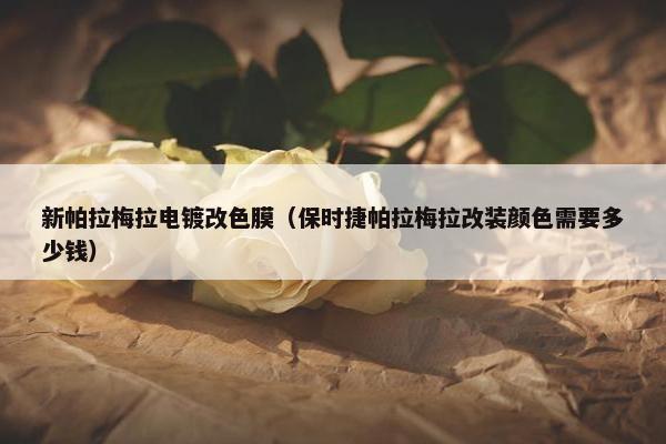新帕拉梅拉电镀改色膜（保时捷帕拉梅拉改装颜色需要多少钱）