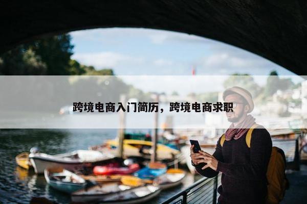 跨境电商入门简历，跨境电商求职