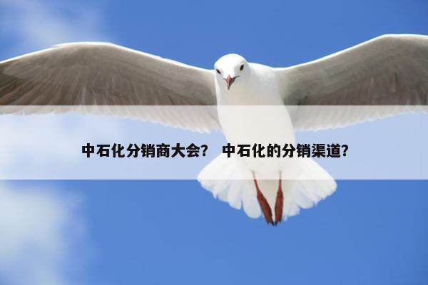 中石化分销商大会？ 中石化的分销渠道？